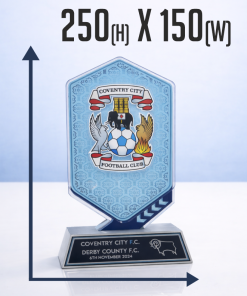 Alternative view of 250x150mm  FULLY BESPOKE PRINTED ACRYLIC AWARD