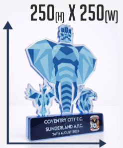 Alternative view of 250x250mm  BESPOKE AWARD