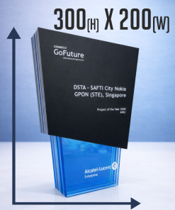 Alternative view of 300x200mm  BESPOKE AWARD