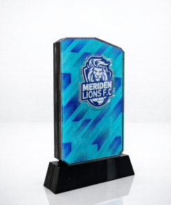 19.5cm Freestanding Multilayered Fully Bespoke Acrylic Raised Logo