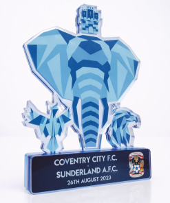 250x250mm  BESPOKE AWARD