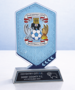 250x150mm  FULLY BESPOKE PRINTED ACRYLIC AWARD