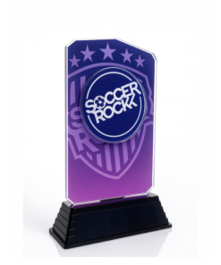 20.5cm Reverse Printed Acrylic/  Heavyweight Base Raised Logo included