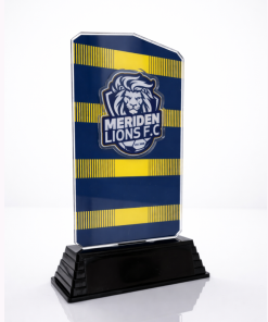 22.5cm Reverse Printed Acrylic/  Heavyweight Base Raised logo Included